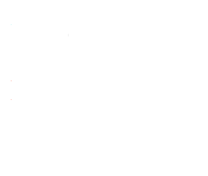 BACK  TO TOP

Next  Page